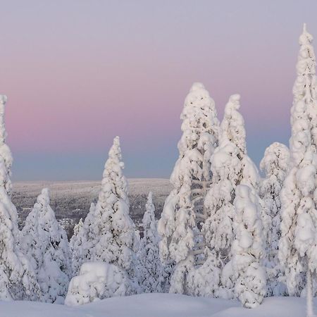Northern Bliss Hideaway Rovaniemi Exteriör bild