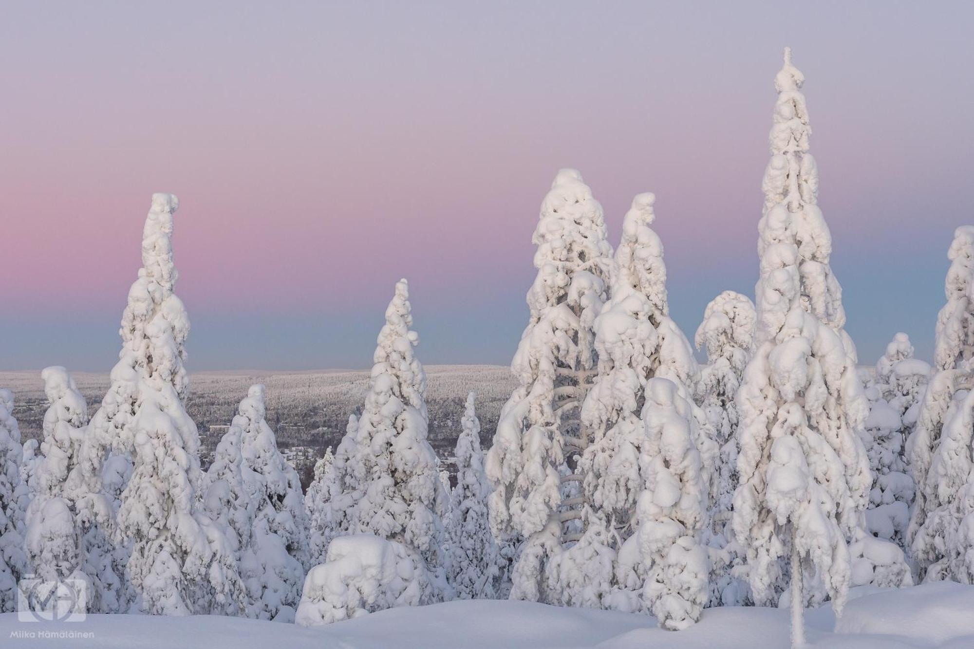 Northern Bliss Hideaway Rovaniemi Exteriör bild
